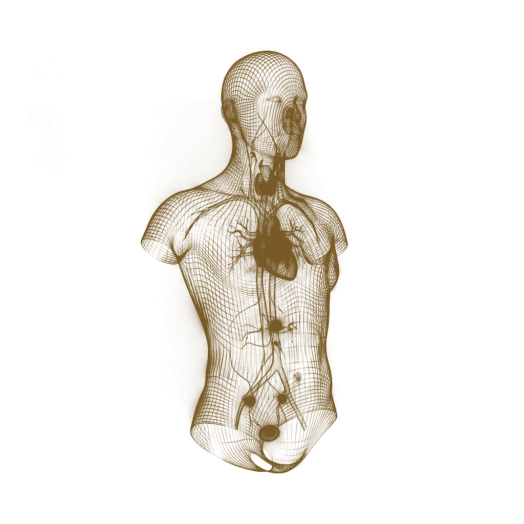 Ilustração do corpo humano em três dimensões, usada como marca do Programa Serfaty